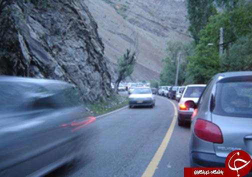 از کشف لاک پشت های طلایی تا مصدومیت 2 نفر در انفجار مواد محترقه
