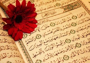 عروس قرآن کدام سوره است ؟