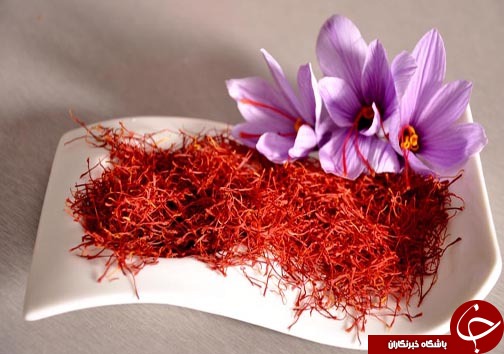 بیرجند،نگین کویر ایران