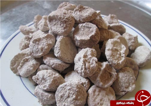 بیرجند،نگین کویر ایران