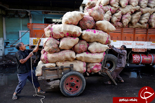 از عضو شیرخوار پارلمان اروپا تا سخنرانی دالای لاما در هند