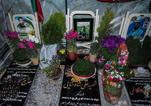 دسته گلی برای عزیزان خفته در خاک