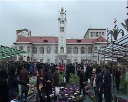 جشنواره گل و گیاه و کدو(کویی)