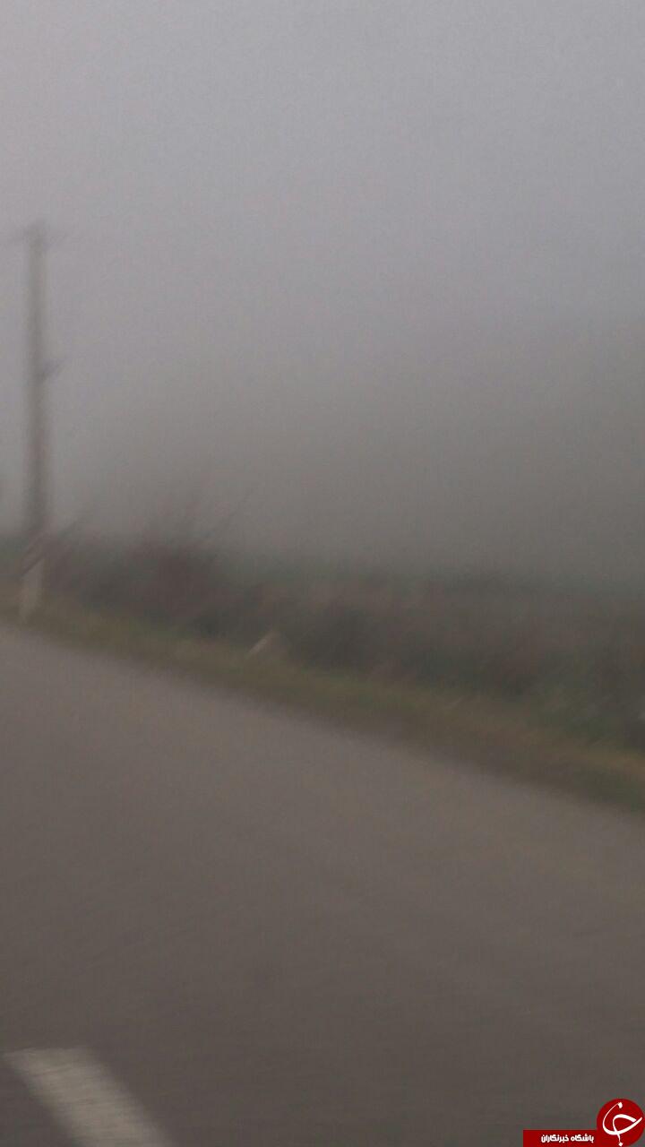جاده آزادشهر به گرگان در مه ناپدید شد + تصاویر