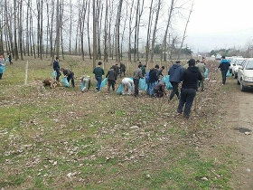 پاکسازی مبادی ورودی شهرستان ماسال از زباله
