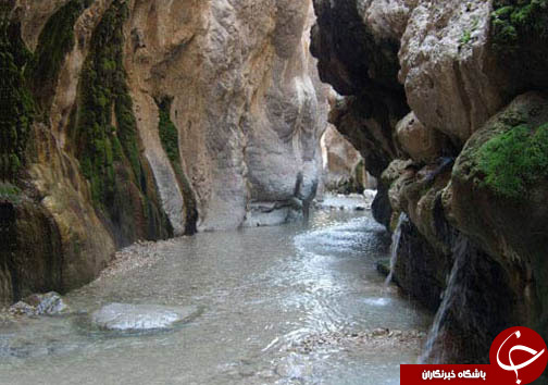 خراسان جنوبی ، قطب آب درمانی شرق کشور