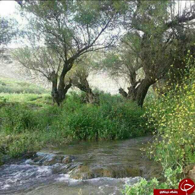 طبیعت استان مرکزی + تصاویر
