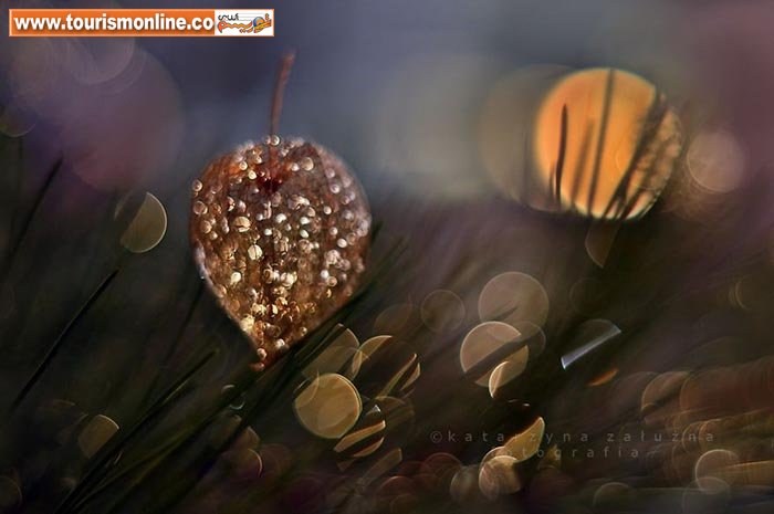 استفاده از تکنیک 