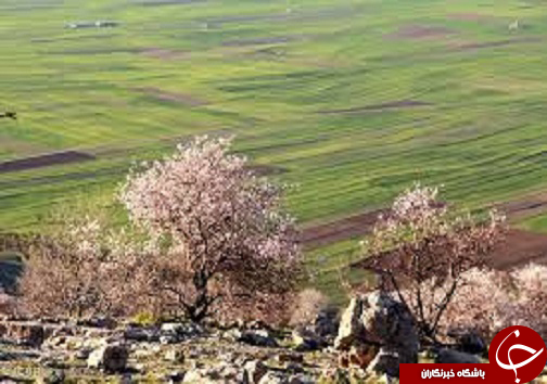 کوه های سارال چشم اندازی طبیعی از زيبایی های بهاری