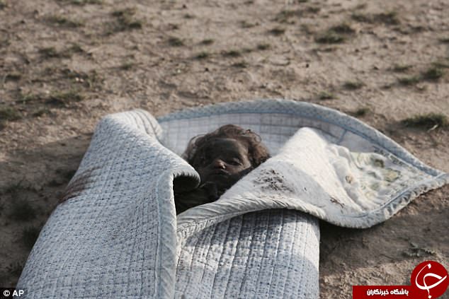 تازه&zwnj;ترین جنایت داعش: کشف جسد 24 کودک در گور دسته&zwnj;جمعی