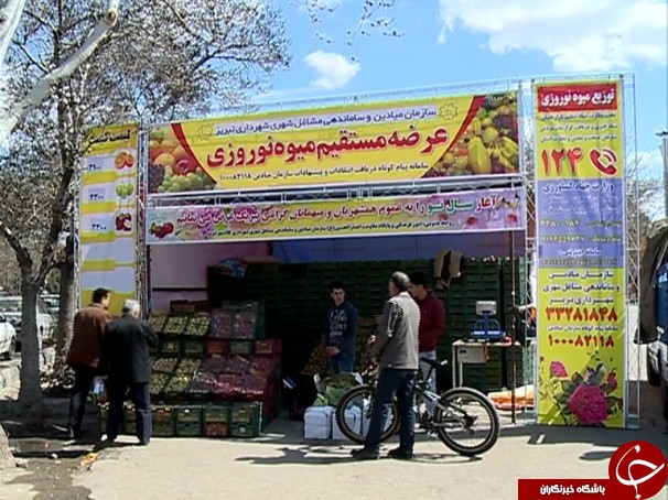 آغاز عرضه میوه شب عید در آذربایجان شرقی