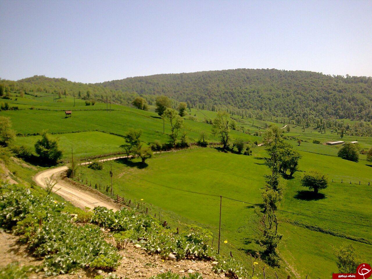 طبیعت زیبای چهار دانگه ساری در قالب تصویر
