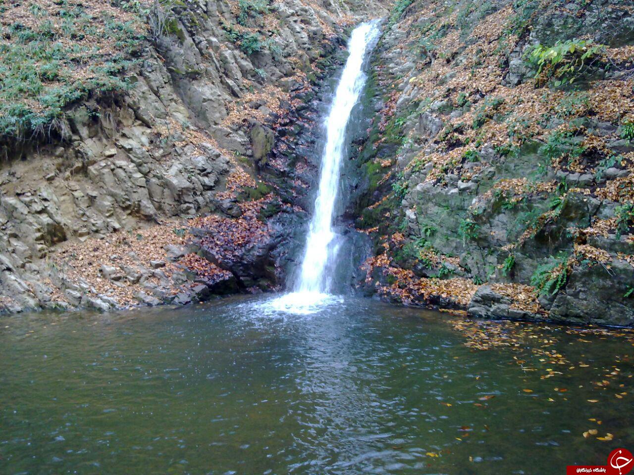 طبیعت زیبای چهار دانگه ساری در قالب تصویر