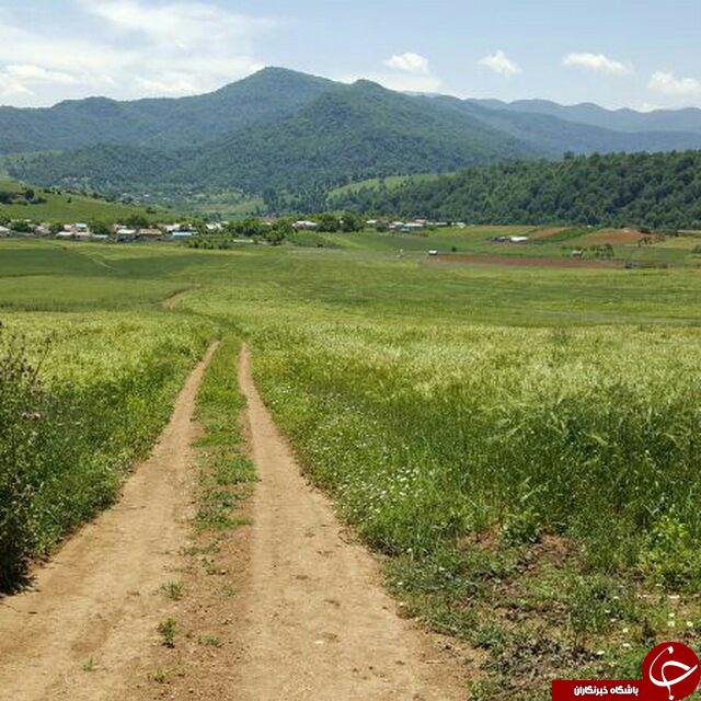طبیعت زیبای چهار دانگه ساری در قالب تصویر
