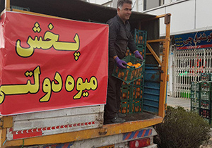 آغاز توزیع میوه دولتی در اصفهان