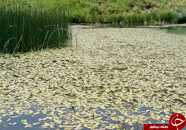 راهنمای سفر به آذربایجان غربی/اماکن دیدنی/هتل ها + فیلم و دانلود نقشه