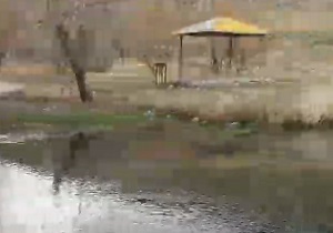 چشمه زیبای "بلاغ حک" در روستای " شازند" + فیلم