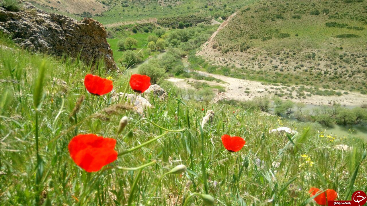 مناظر زیبای دره زرشکه در بیجار + تصاویر