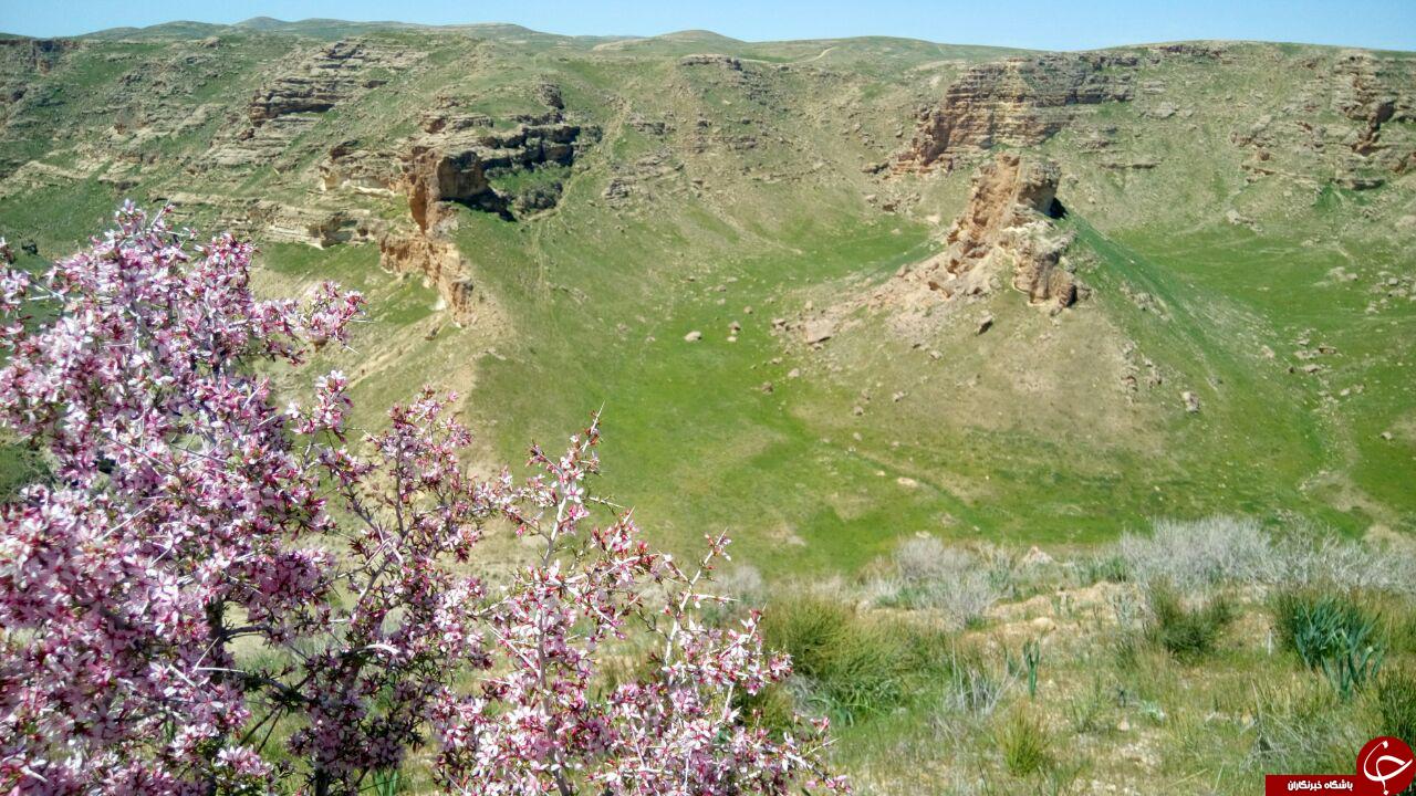 مناظر زیبای دره زرشکه در بیجار + تصاویر