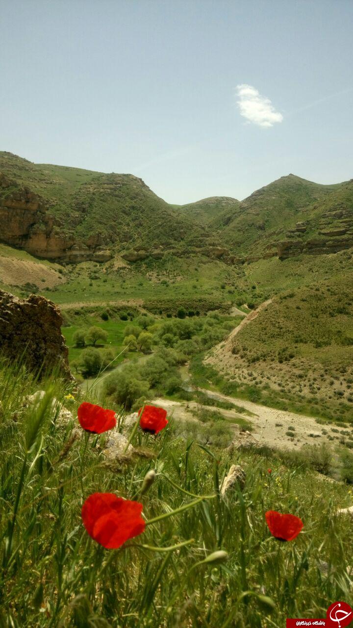 مناظر زیبای دره زرشکه در بیجار + تصاویر