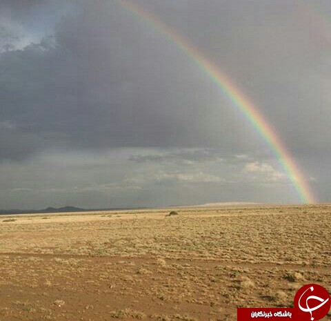 طبیعت زیبای دهملاء+ تصاویر