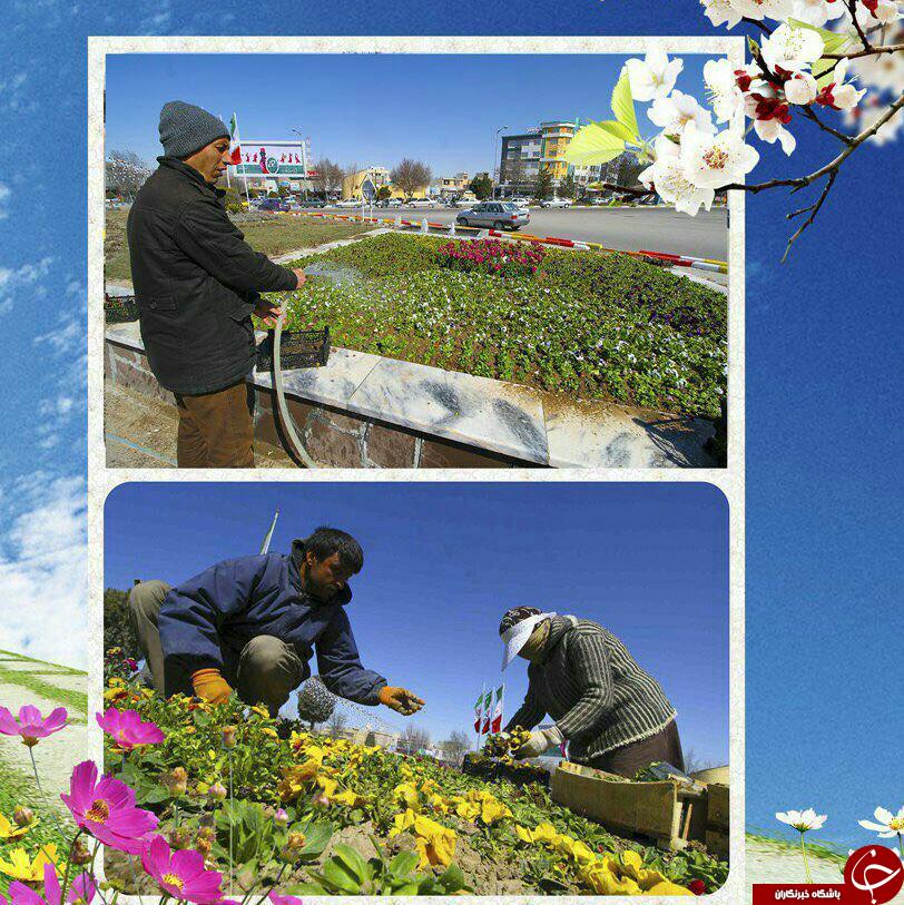 نصب ۶۰ المان نوروزی جدید در شهرستان قوچان+تصاویر