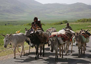 ۲۰ اردیبهشت زمان ورود عشایر به چهارمحال و بختیاری