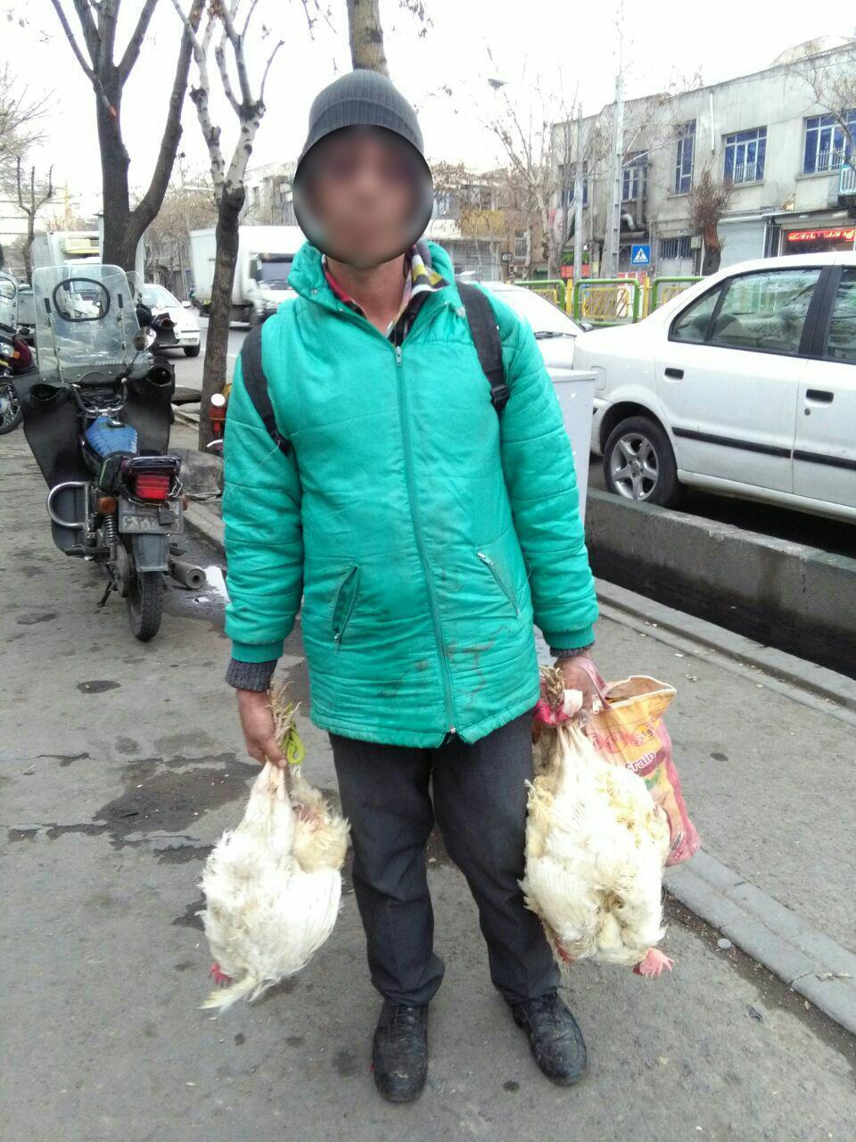 دستفروشی که مرغ زنده می&zwnj;فروشد/ وقتی دستفروشی به معضل ترافیک دامن می&zwnj;زند