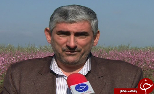 دلند؛ شهر شکوفه ها