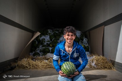 میدان مرکزی میوه و تره‌بار تهران