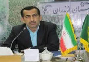 شخم و شیار شالیزاری مازندران