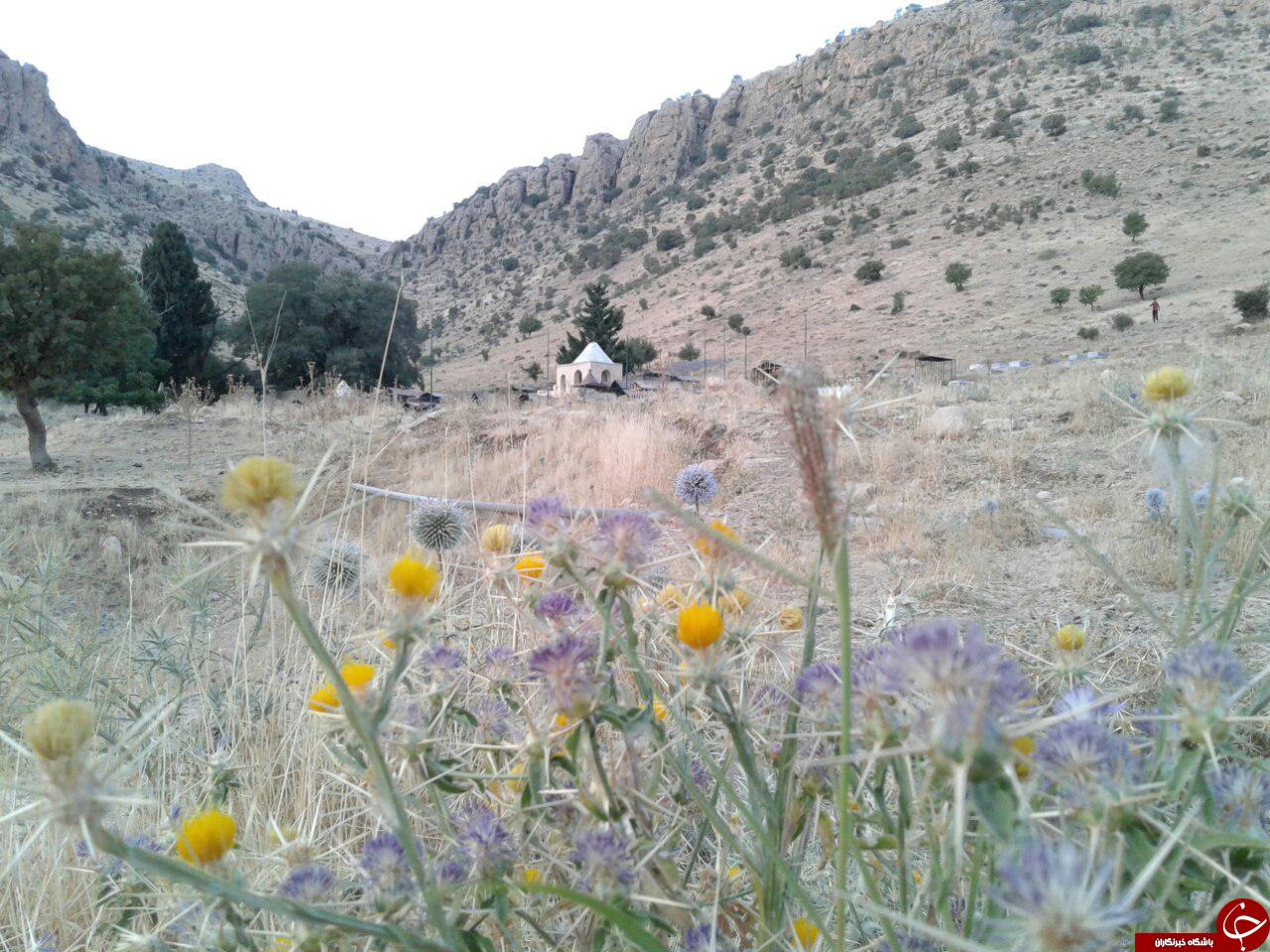 نمایی از طبیعت روستای حریر + تصاویر