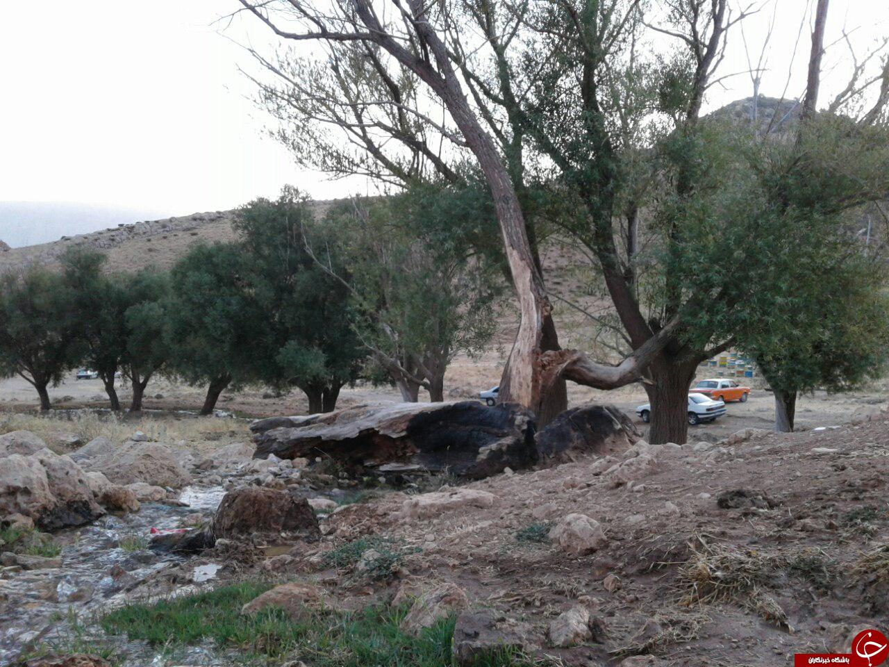 نمایی از طبیعت روستای حریر + تصاویر