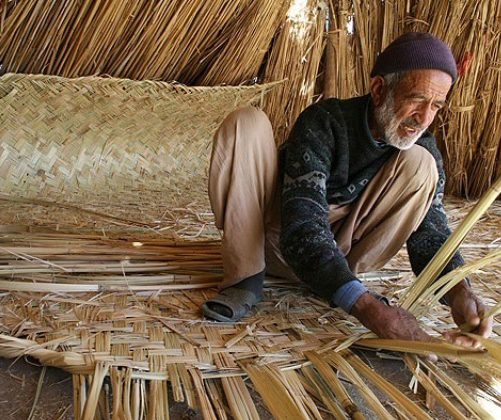 راهنمای سفر به بوشهر/ اماکن دیدنی / هتل&zwnj;ها + فیلم گردشگری و دانلود نقشه