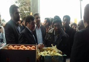 بازدید استاندار از مراکز توزیع میوه