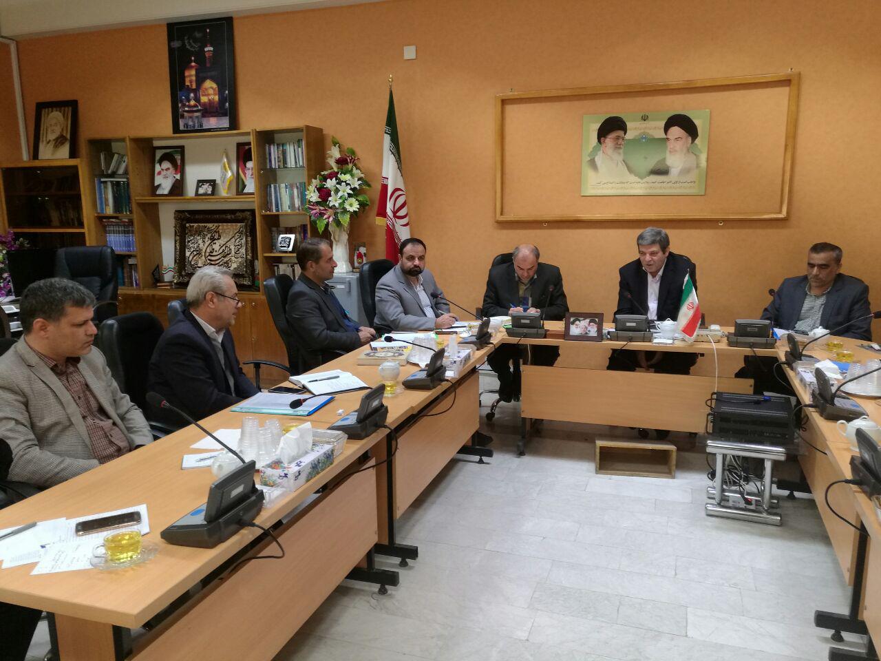 رشد ۴۰ درصدی فعالیت تشکل های غیر دولتی در دولت تدبیر و امید
