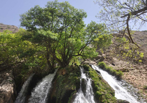 شهرستان لردگان، آماده پذیرایی از مسافران نوروزی