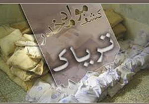 کشف محموله 420 کیلوگرمی مواد مخدر در داراب