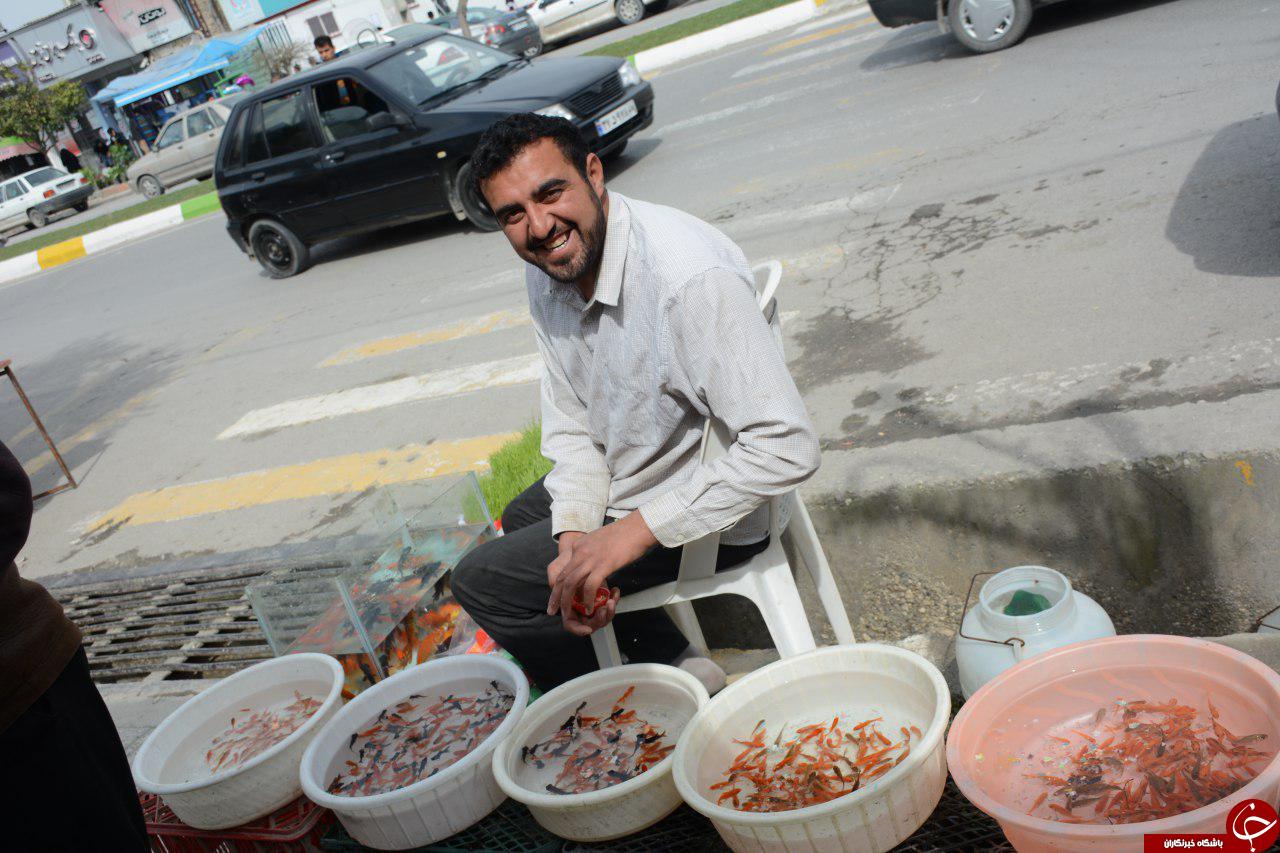 حال و هوای عید در شهرستان کردکوی + تصاویر