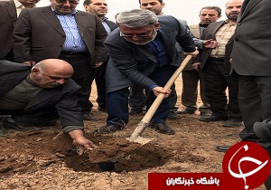 كاشت نهال در کانون تولید ریزگردهای قزوین به دست وزیر کشور