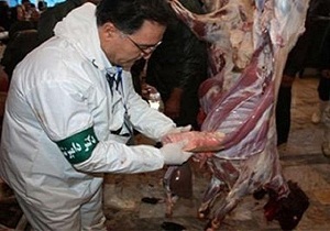 آغازگشت های مشترک دامپزشکی در ایام پایانی سال