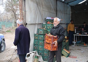 عرضه مستقيم ميوه در ۲۸ نقطه از سطح شهر قم