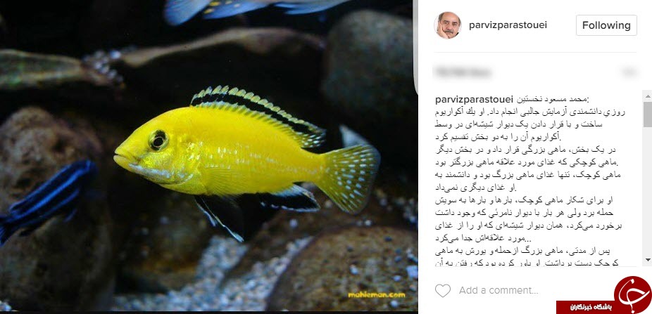 شرح داستان دیوارهای شیشه ای توسط بازیگر پرآوازه کشورمان