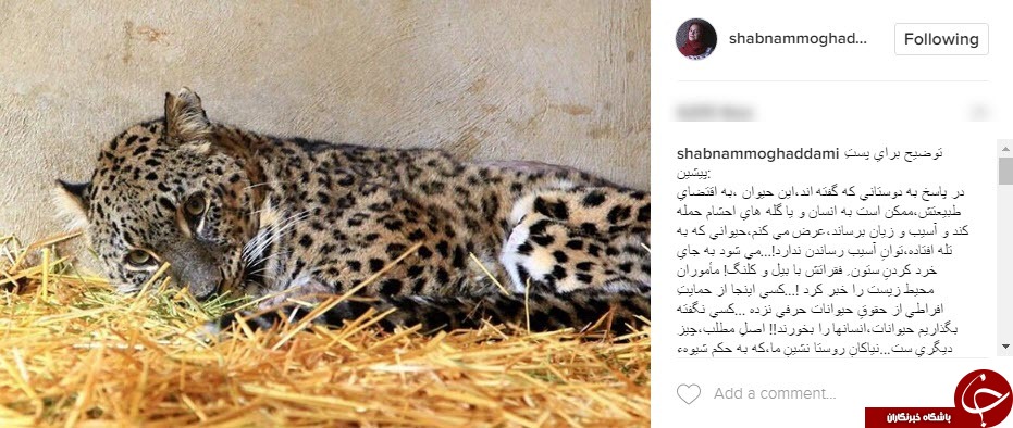 پست اینستاگرامی شبنم مقدمی برای حفظ گونه&zwnj;های در حال انقراض
