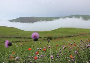 صاحبان اراضی غیر مرتعی و ملی در اردبیل سند معتبر دریافت می کنند