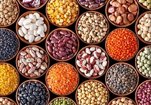 افزایش 35 درصدی کشت حبوبات در شهرستان بیله سوار