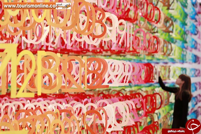 جنگلی از جنس اعداد/ راه اندازی موزه&zwnj;ای با 60 هزار عددِ رنگی +تصاویر