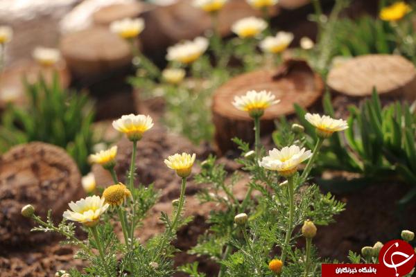 پارک آبشار بافق، بهشتی در کویر + تصاویر