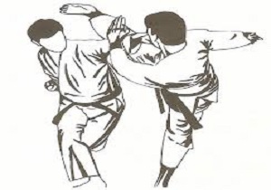 کاراته کا کرمانشاهی از کسب مدال در لیگ جهانی باز ماند