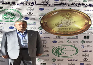 کارآفرین مهابادی ، نمونه کشوری